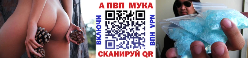 A PVP СК КРИС  Курск 