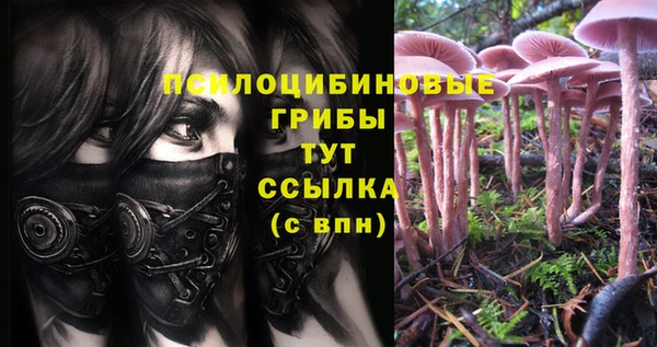 дживик Бугульма