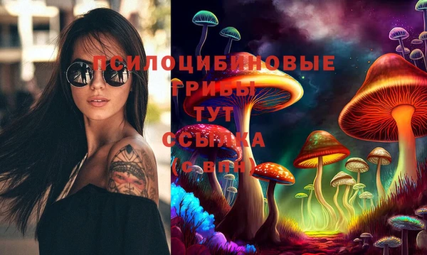 дживик Бугульма