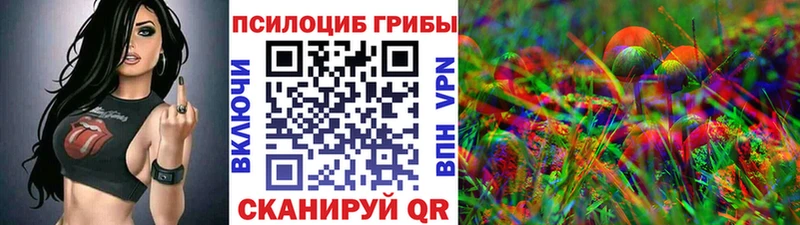 Псилоцибиновые грибы прущие грибы купить цена Курск